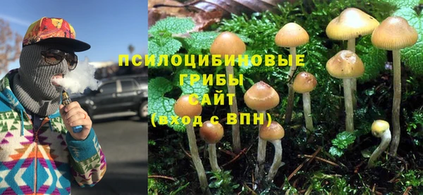 каннабис Аркадак