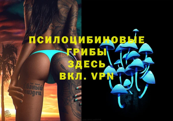 винт Арсеньев
