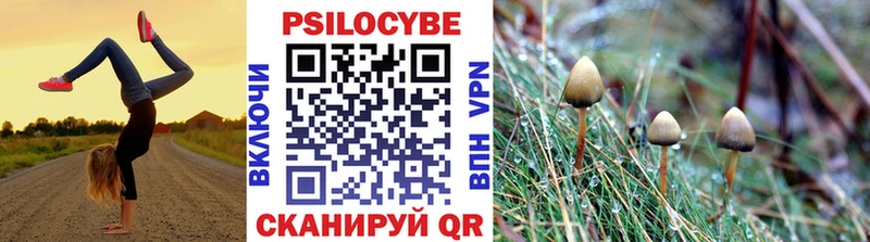наркошоп  Луза  Псилоцибиновые грибы MAGIC MUSHROOMS 